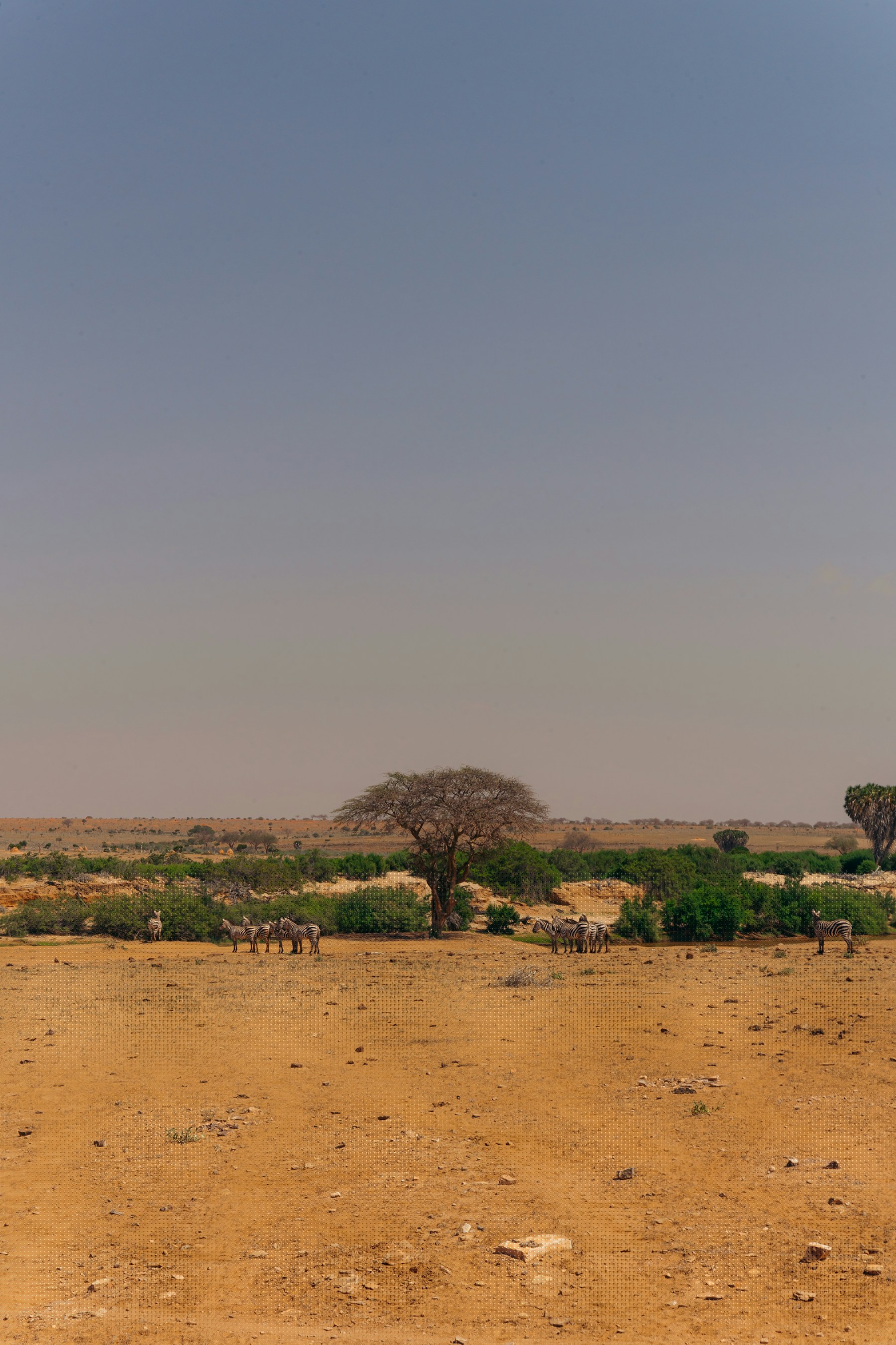 07 Tsavo East • Watamu • Malindi