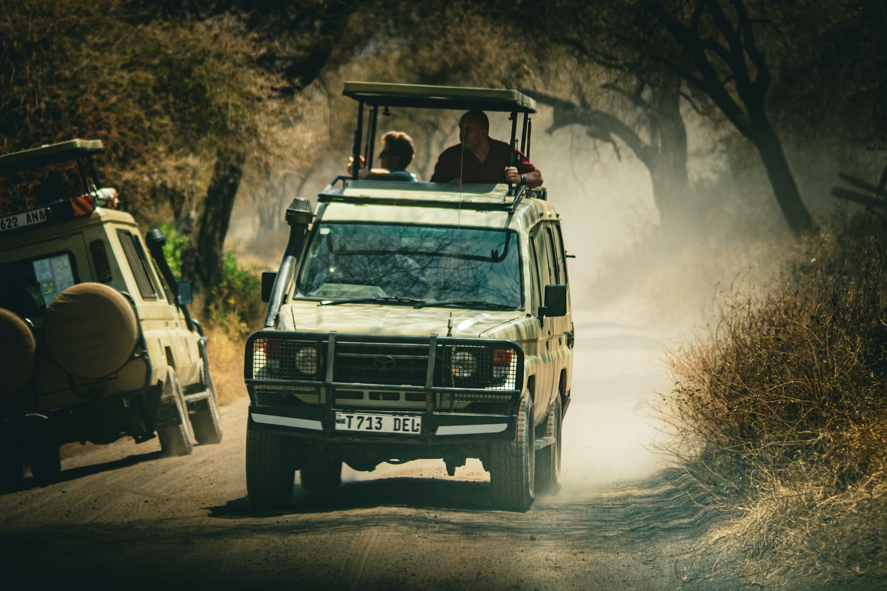 Tanzania Family Safari