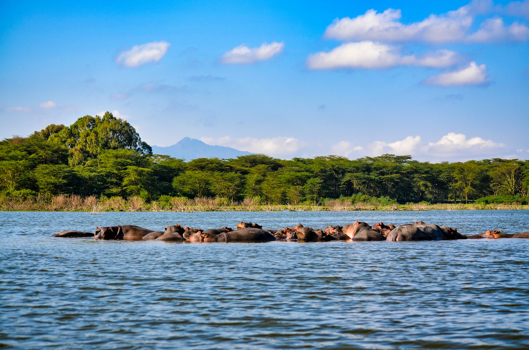 Kenya Wellness & Nature Retreat
