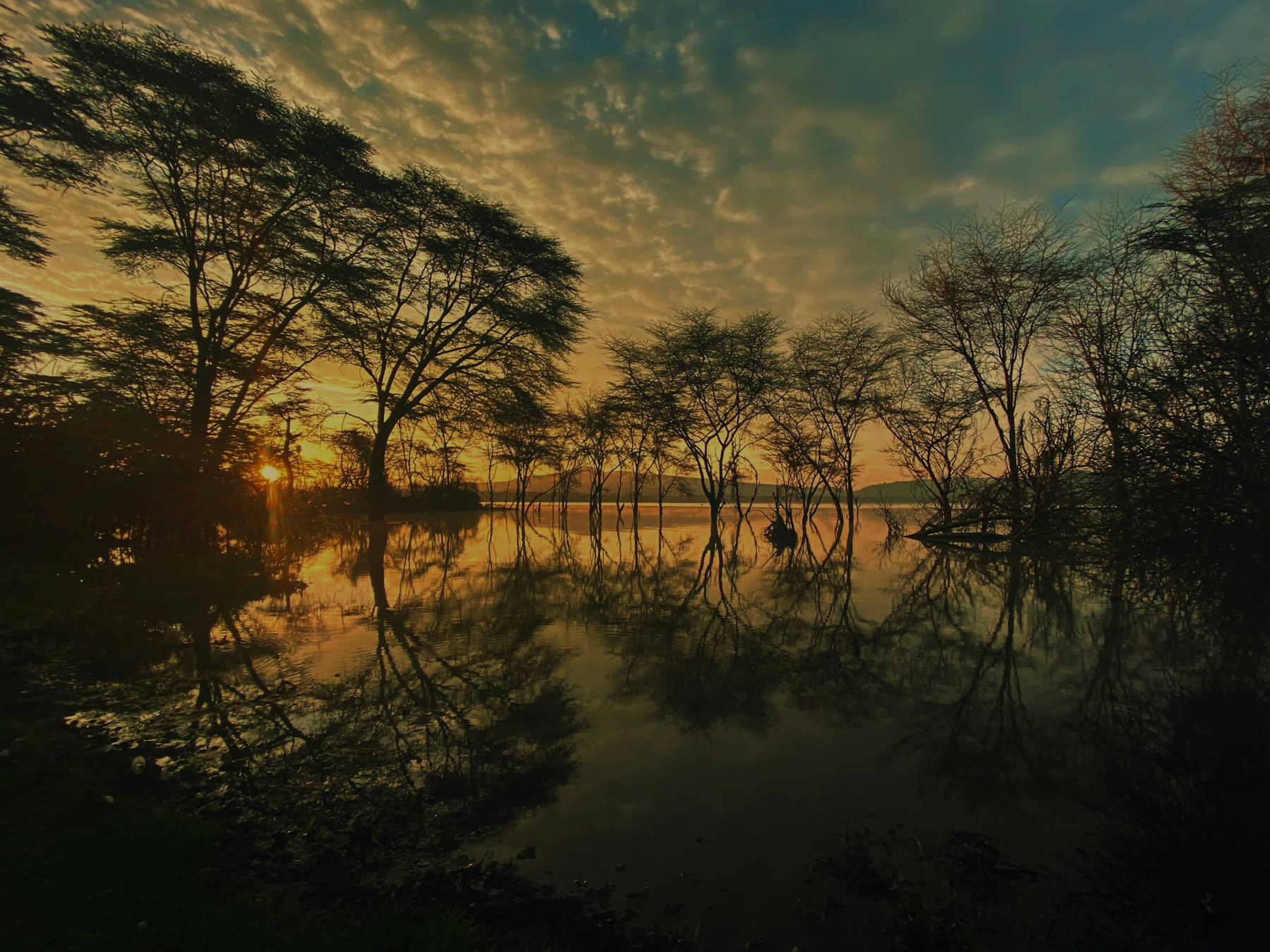 Naivasha Self-Drive Getaway