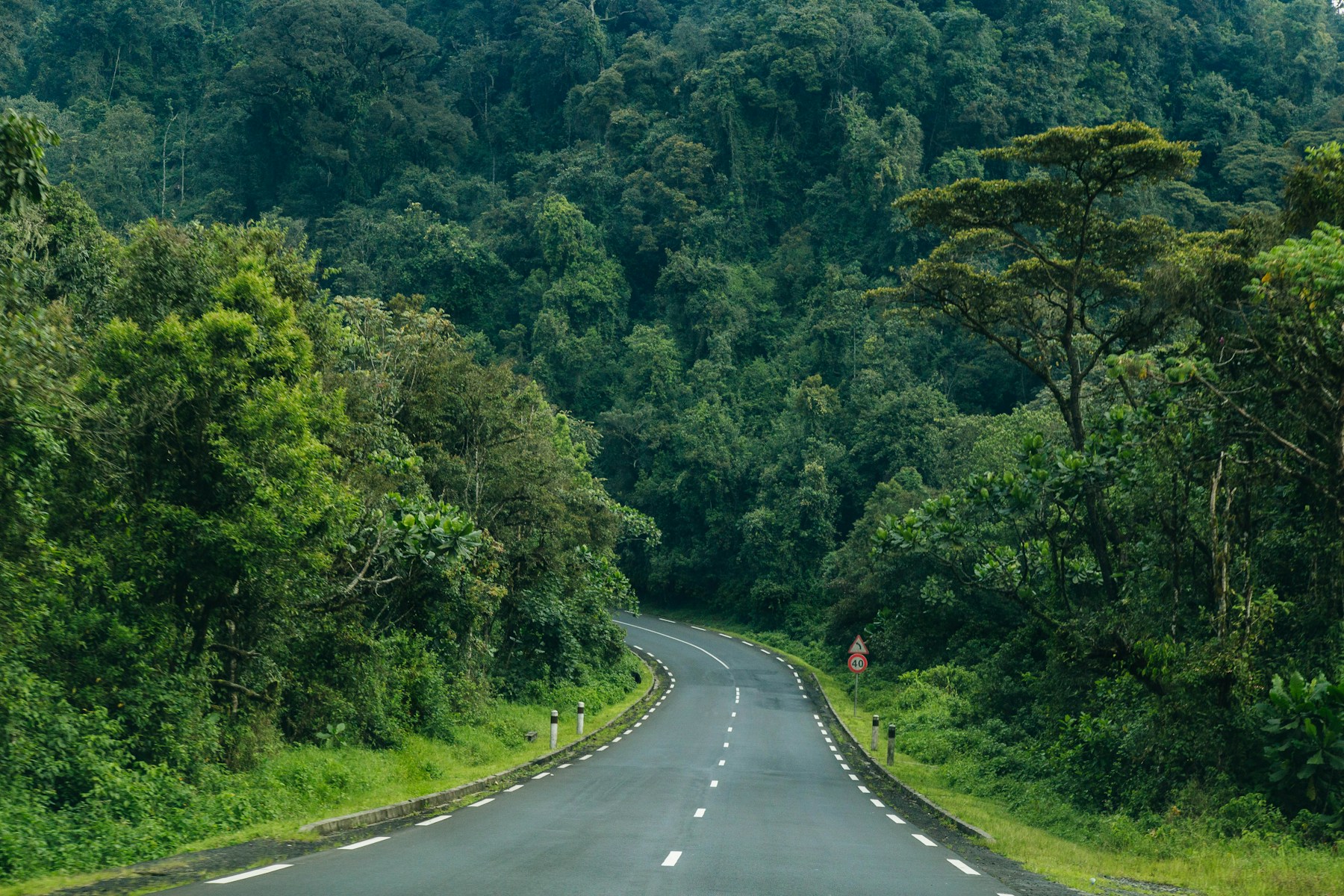 5-Day Rwanda Gorilla Safari