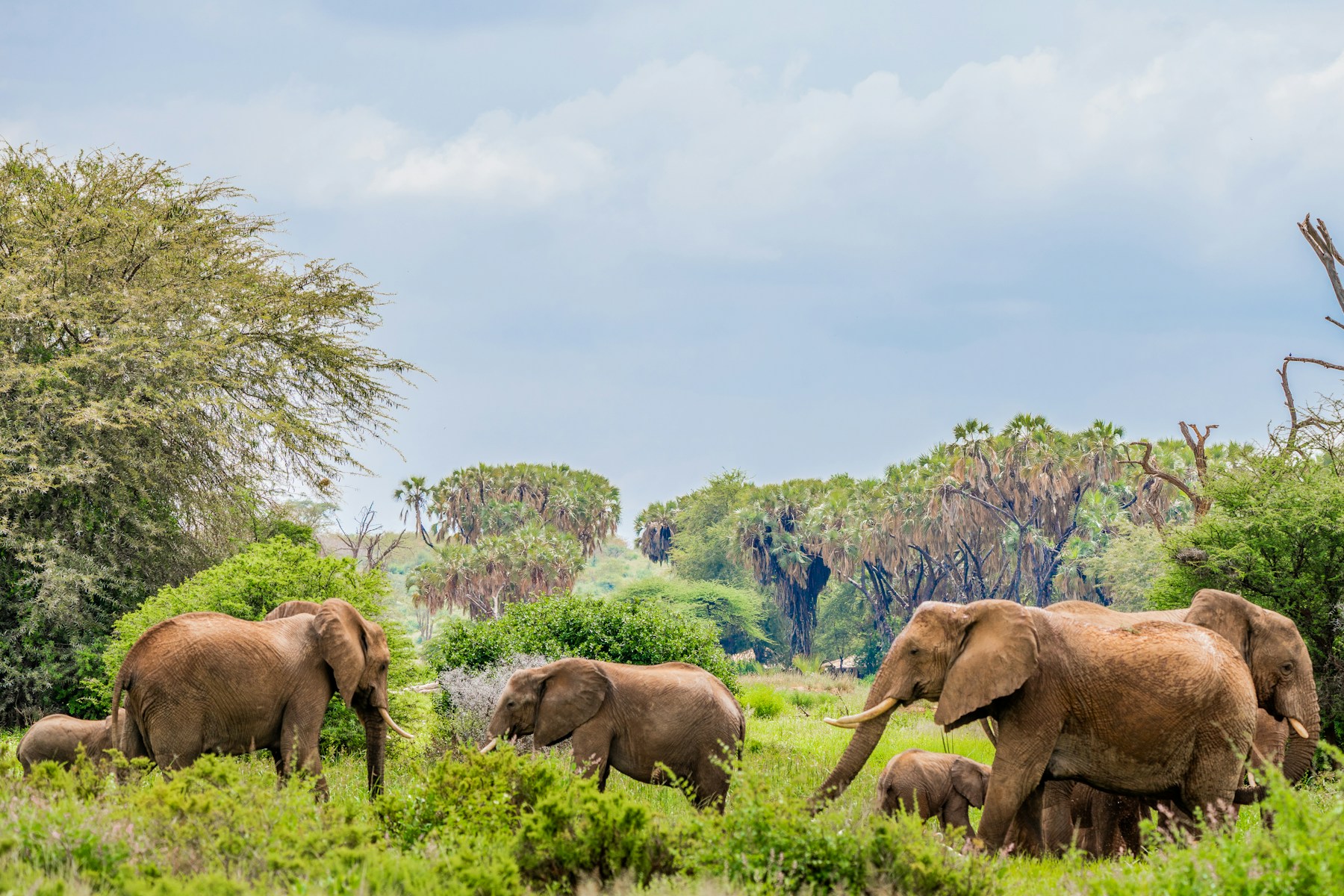 5 Days Kenya Camping Safari
