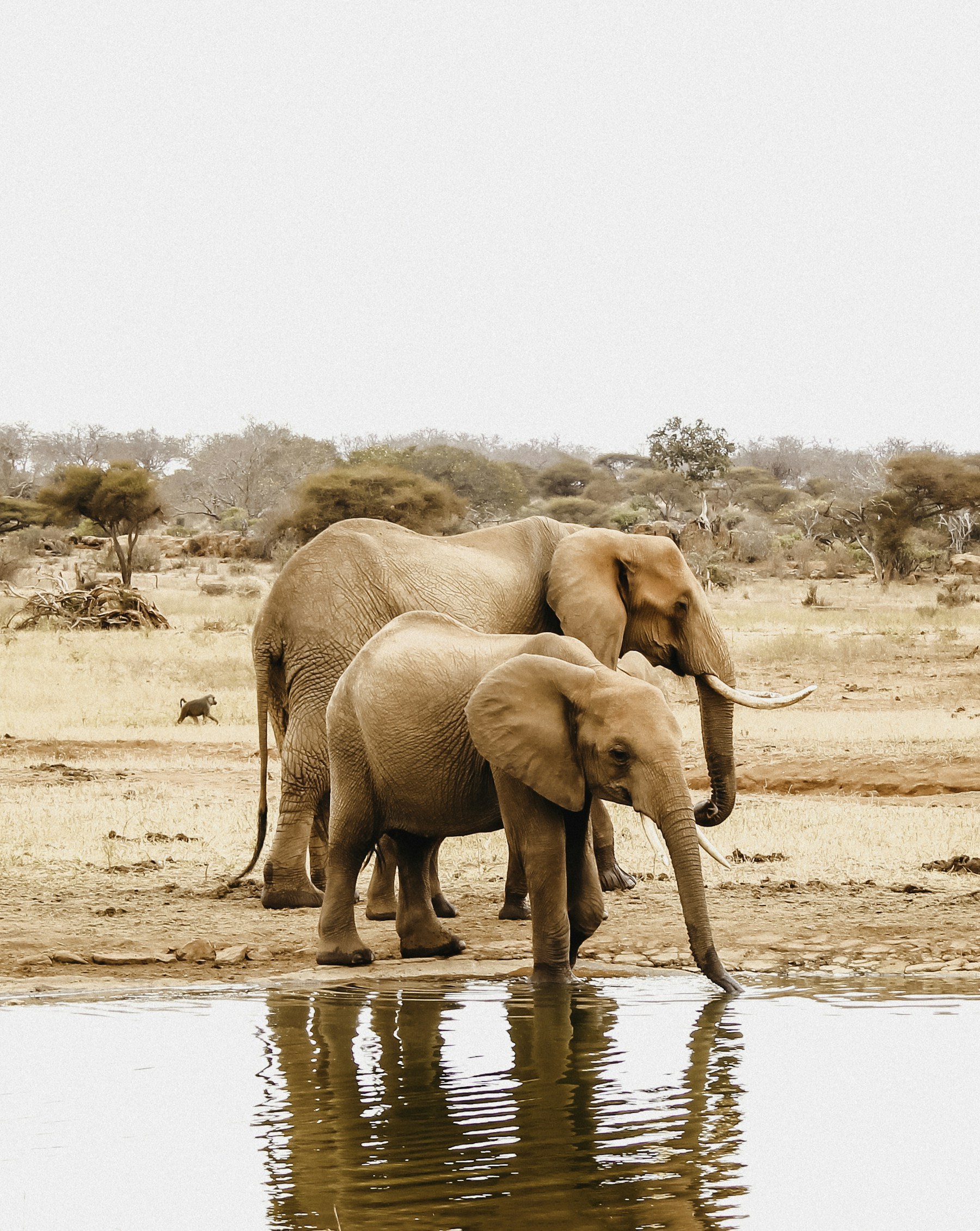 8 Days Kenya Honeymoon & Cultural Safari